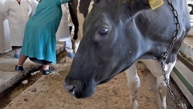 Из $41 млн, которые Казахстан обещал выделить КР, $6 млн пойдут на закупку оборудования в сфере ветеринарии &mdash; Tazabek