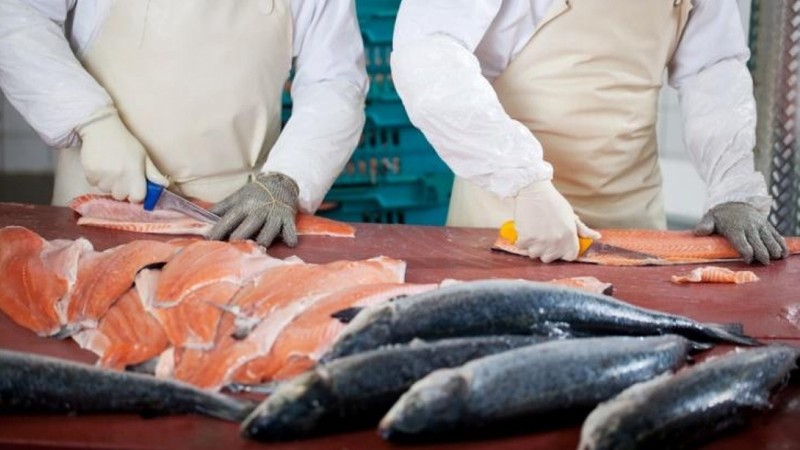 С 1 сентября покупатели перестанут платить за лед, - ЕЭК &mdash; Tazabek