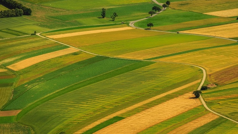 Земельный фонд Кыргызстана: Главное богатство Ленинского района Бишкека &mdash; Tazabek