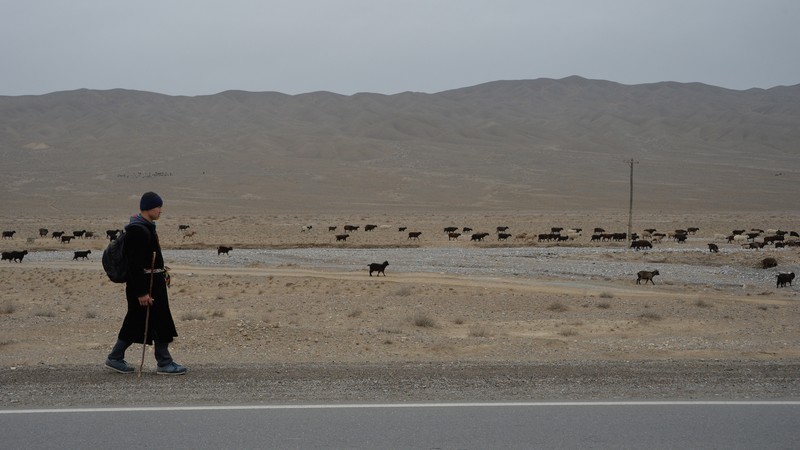 Людям надо избегать чрезмерного потребления красного мяса, -  гендиректор ФАО &mdash; Tazabek