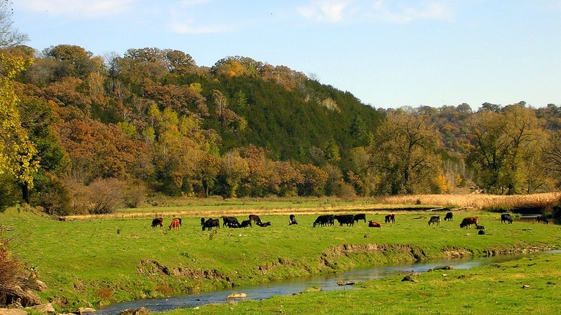 В 2017 году за предоставление в пользование пастбищ собрано 127 млн сомов, - Минсельхоз &mdash; Tazabek
