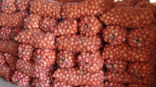 Россельхознадзор не пропустил в Новосибирскую область 146 тонн репчатого лука и белокочанной капусты из Кыргызстана &mdash; Tazabek