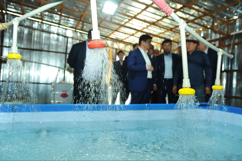 Премьер посетил ряд сельскохозяйственных объектов Чуйской области &mdash; Tazabek