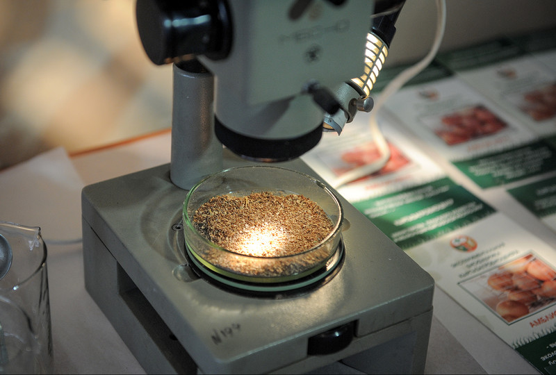 Минсельхоз предложил дотировать семеноводство &mdash; Tazabek