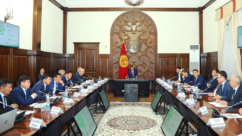 Правительство поручило изучить перспективы создания плантаций по выращивания деревьев павловнии &mdash; Tazabek