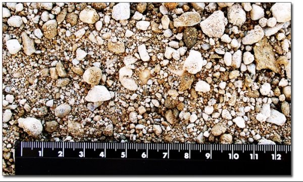 Госгеология объявила повторный аукцион на геологоразведку месторождения Кугартское &mdash; Tazabek