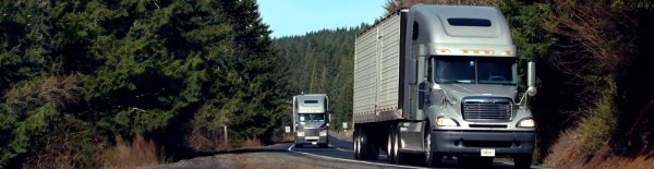 Минтранском предлагает утвердить временную инструкцию о порядке выдачи, учёта и хранения бланков разрешений на международные автоперевозки &mdash; Tazabek