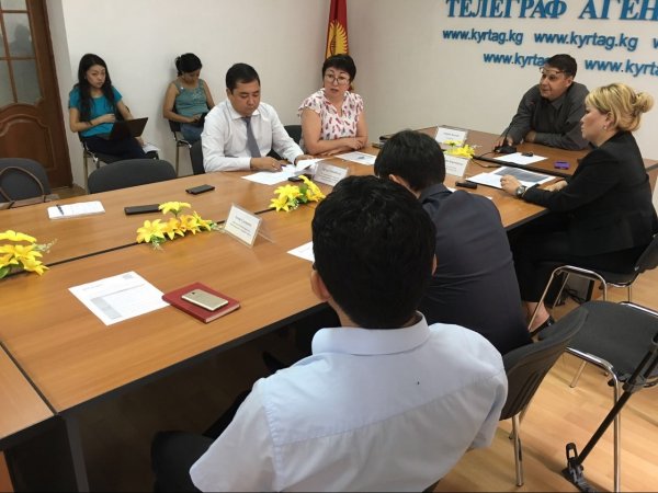 Умное регулирование в КР плохо приживается, - экономист А.Чекирова &mdash; Tazabek