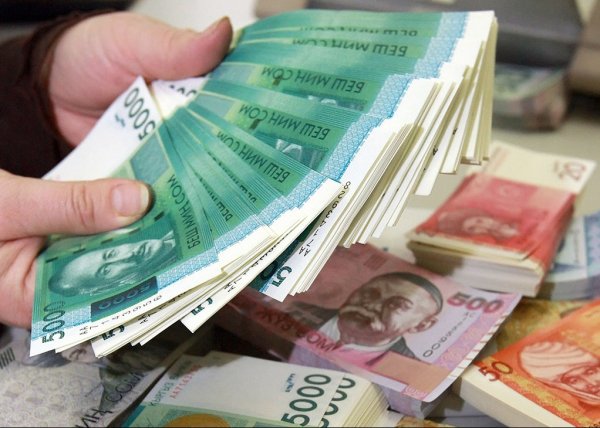 За I полугодие Минфин выделил ведомствам 57,2 млрд сомов (названия, суммы) — Tazabek