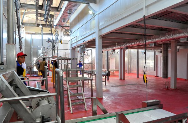 Вице-премьер М.Абулгазиев: Мясо животных, чьи туши были разделаны в домашних условиях, не должно попадать на рынок &mdash; Tazabek