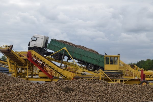 Спецадминистратор выставил на открытый аукцион &laquo;Бакай-Атинское предприятие&raquo; за 17,4 млн сомов &mdash; Tazabek