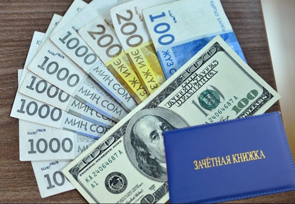 Знания как бизнес: Сколько собрали ВУЗы за контракт в 2016-2017 учебном году? — Tazabek