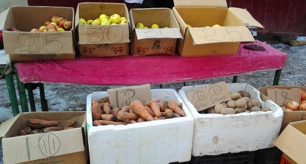 В регионах КР низкая продуктивность и нет экспортного потенциала, - исследование &mdash; Tazabek