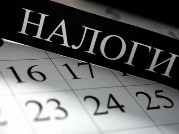 На 22 февраля Единую налоговую декларацию сдали более 56 тыс. налогоплательщиков — Tazabek