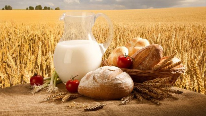 С начала 2017 года выпущено продукции рыболовства, сельского и лесного хозяйства на 82,1 млрд сомов, - Нацстатком &mdash; Tazabek