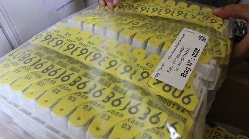 Госветфитосанинспекция получила первую партию ушных бирок из России (фото) &mdash; Tazabek