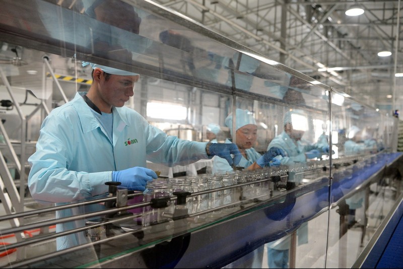 Правительство сотрудничает с 9 банками по запуску проекта финансирования экспортоориентированных предприятий, - Минфин &mdash; Tazabek