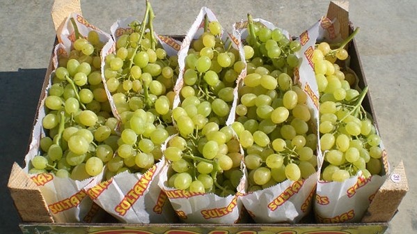Таможня пресекла ввоз свыше двух тонн контрабандного винограда &mdash; Tazabek