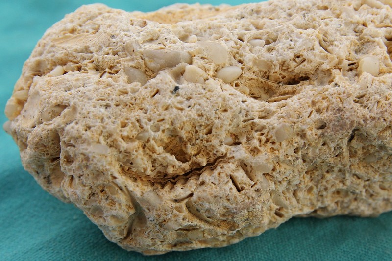 Госкомпромэнергонедр выставил на аукцион два месторождения известняка-ракушечника с общей стартовой ценой лицензии в $43,4 тыс. &mdash; Tazabek