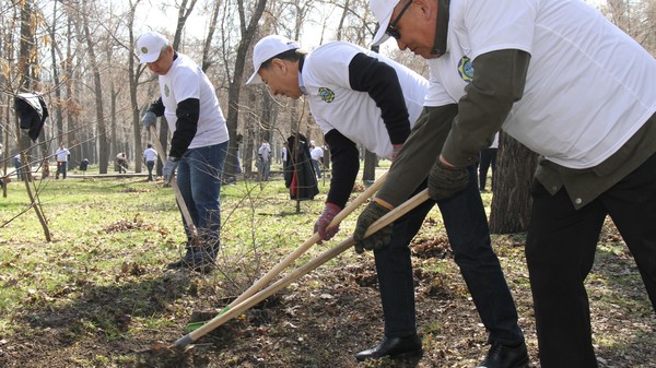 Главное фото