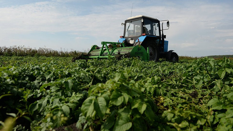 Какие сферы экономики больше всего кредитуют комбанки? (список) &mdash; Tazabek