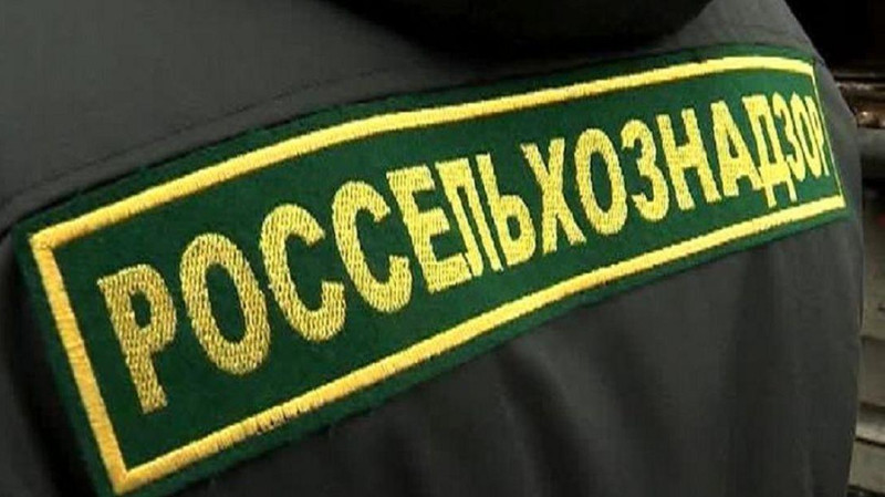 Россельхознадзор выявил незаконный ввоз 42 тонн подкарантинной продукции из Кыргызстана и Казахстана &mdash; Tazabek
