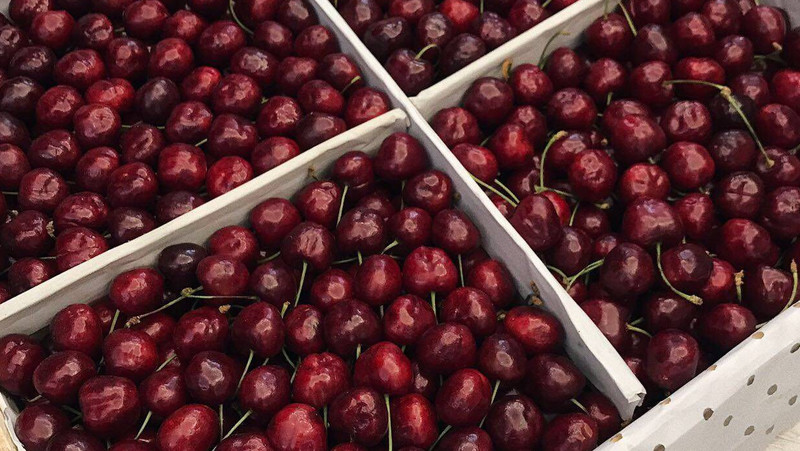 Россельхознадзор не пропустил 87 тонн продукции с недостоверной маркировкой из Кыргызстана &mdash; Tazabek