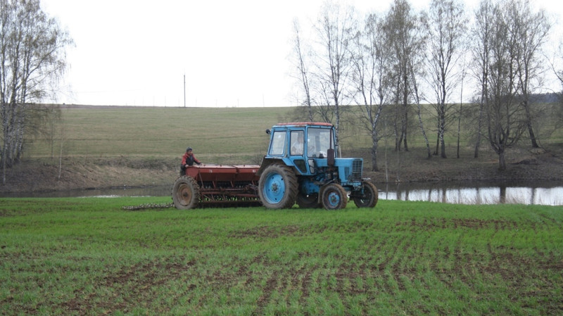 Сельхозпредприятия в КР за полгода произвели продукцию на 55,6 млрд сомов, - Нацстатком &mdash; Tazabek