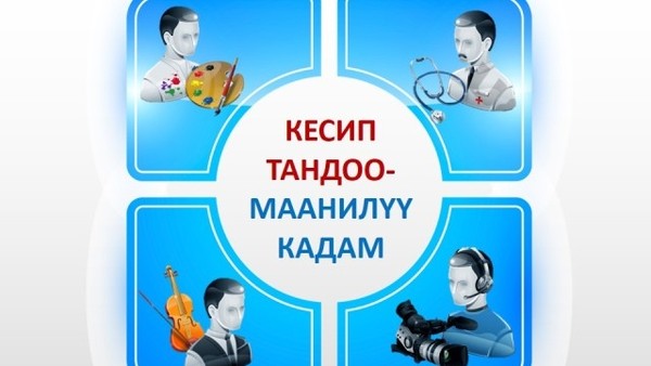 Кесипке багыт берүү иш-чаралары Ноокен районундагы жана Майлуу-Суу шаарындагы мектептерде уюштурулду