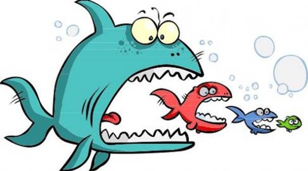 Банки в авангарде тренда слияний и поглощений, - эксперт по корпоративному праву Ж.Усенов &mdash; Tazabek