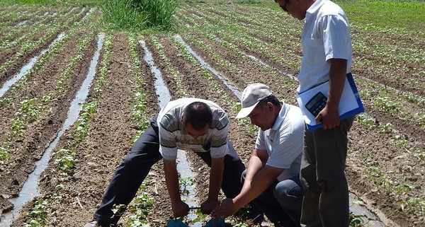 Ежегодно количество воды в Кыргызстане уменьшается, - Минсельхоз &mdash; Tazabek
