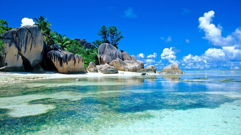 Где провести отпуск кыргызстанцам: Дубай, Турция или Сейшелы? &mdash; Tazabek