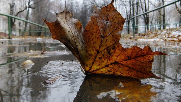 Главное фото