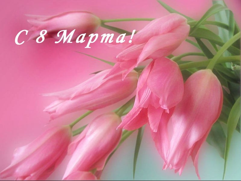 ОАО «Кыргызалтын» поздравляет дам с Международным женским днем 8 Марта! — Tazabek