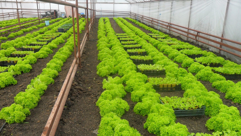 Россия и Кыргызстан договорились меняться продуктами и туристами, - &laquo;Вечерний Челябинск&raquo; &mdash; Tazabek