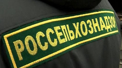 На рынки Новосибирска, Абакана и Москвы не пропустили более 40 тонн фруктов и орехов из Кыргызстана &mdash; Tazabek