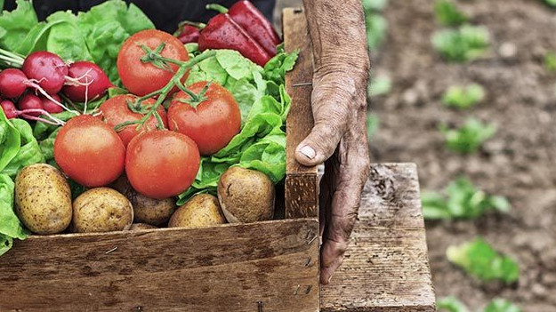 Правительство реорганизовало Кыргызагробиоцентр в Департамент органического сельского хозяйства &mdash; Tazabek