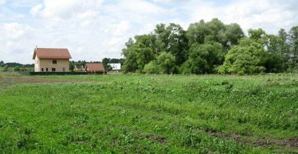 Депутаты выразили недовольство презентацией Госэкотехинспекции по трансформации земельных участков &mdash; Tazabek