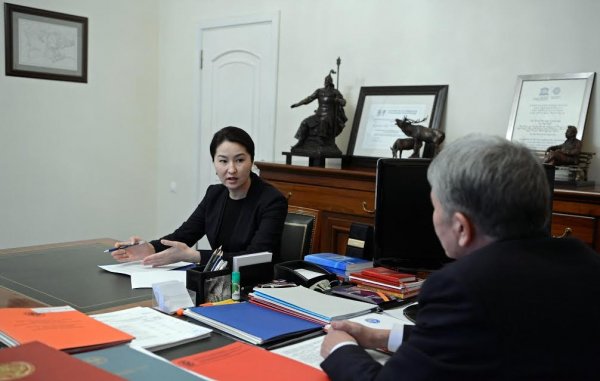 А.Атамбаев поручил генпрокурору И.Джолдубаевой проверить документы траста по акциям оффшорной компании Southfield в пользу 3 депутатов ЖК &mdash; Tazabek