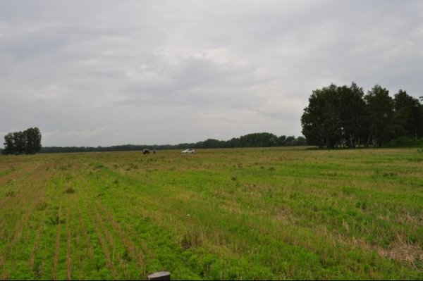 В сельском хозяйстве Кыргызстана нет кризиса, - Минсельхоз &mdash; Tazabek