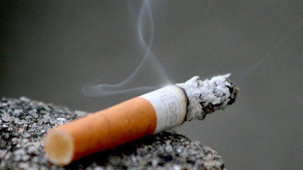 Три депутата ЖК предложили унифицировать ставки акцизного налога на сигареты с фильтром и без фильтра &mdash; Tazabek