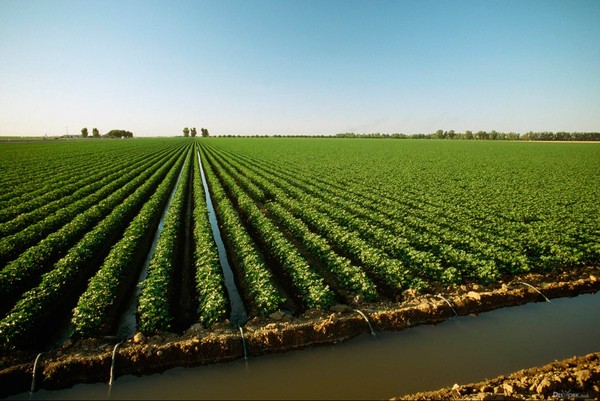 Перечень ирригационных объектов, которые будут завершены в 2017 году (стоимость) &mdash; Tazabek