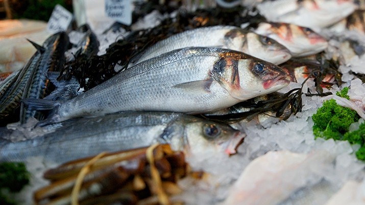 Морские деликатесы &mdash; 23 страны, откуда в Кыргызстан экспортируются 1,2 тыс. тонн морепродуктов в год (объемы) &mdash; Tazabek