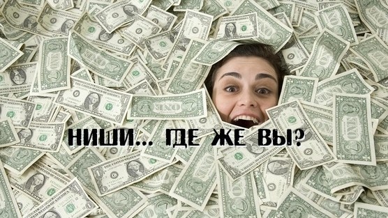 Новые ниши в бизнесе: От европейских саженцев до онлайн-коммерции &mdash; Tazabek