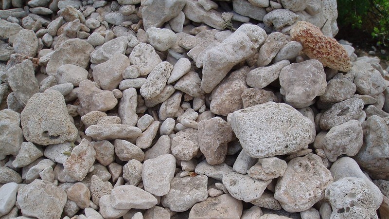 Правительство повторно объявило конкурс на разработку месторождения известняка Аксайское &mdash; Tazabek