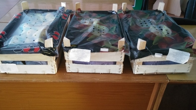 Россельхознадзор за неделю задержал 76,3 тонны подкарантинной продукции из Казахстана и Кыргызстана &mdash; Tazabek