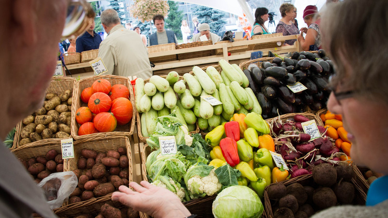 Миллионы из Баткена: Сколько патентов купили продавцы рынков за 23,5 млн сомов? (список, патенты, суммы, адреса) &mdash; Tazabek