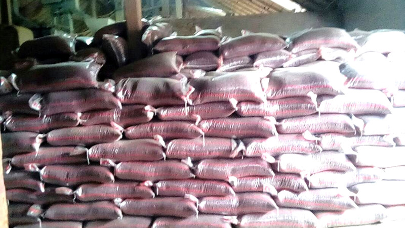 Фасолевый бизнес в Кыргызстане полностью монополизирован, - Ассоциация фасолеводов &mdash; Tazabek