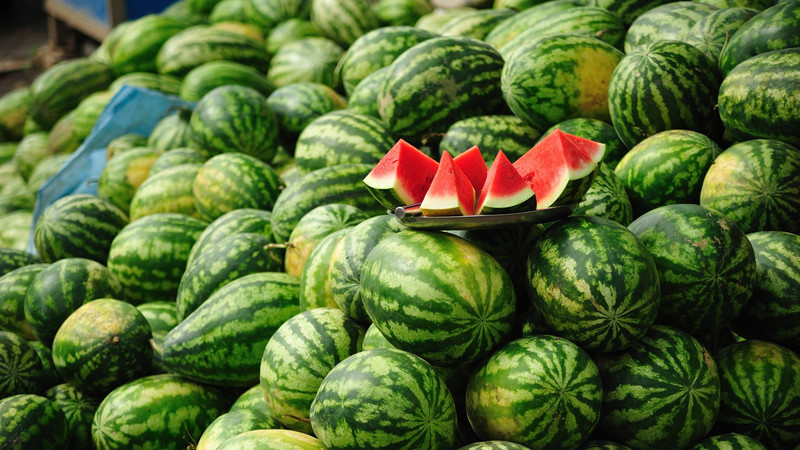 Минсельхоз предлагает обновить карантинные фитосанитарные правила Кыргызстана &mdash; Tazabek