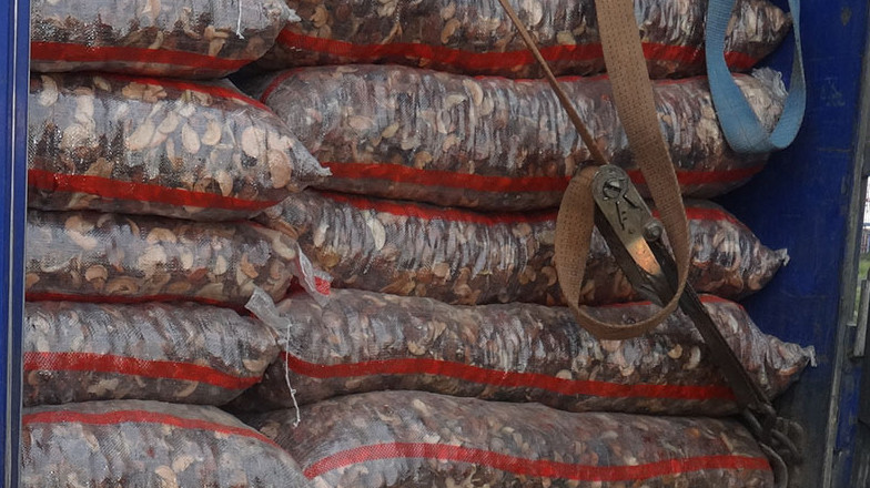 Россельхонадзор не пропустил 89 тонн растительной продукции из Казахстана и Кыргызстана &mdash; Tazabek